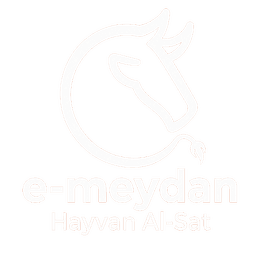 E-Meydan