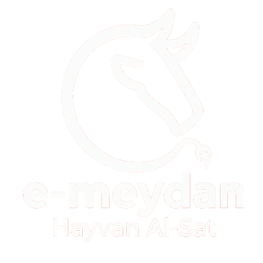 E-Meydan