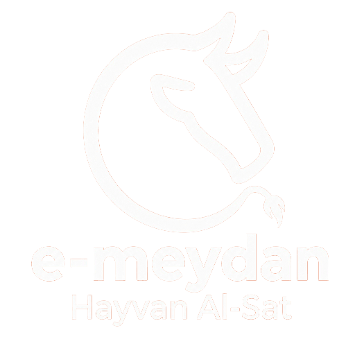 E-Meydan